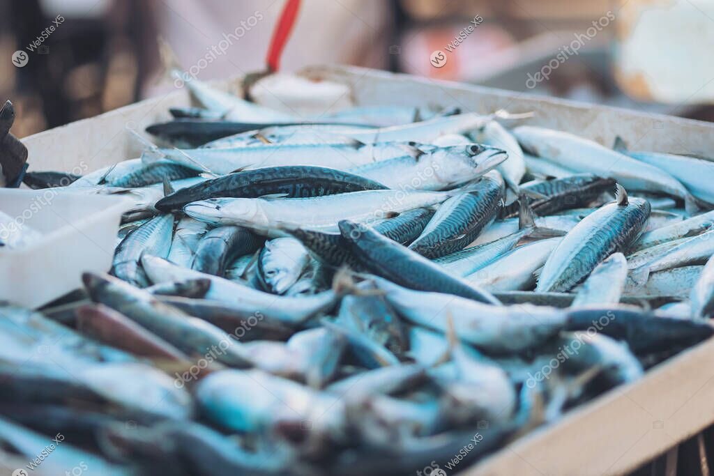 Regionale Zutaten vom Markt